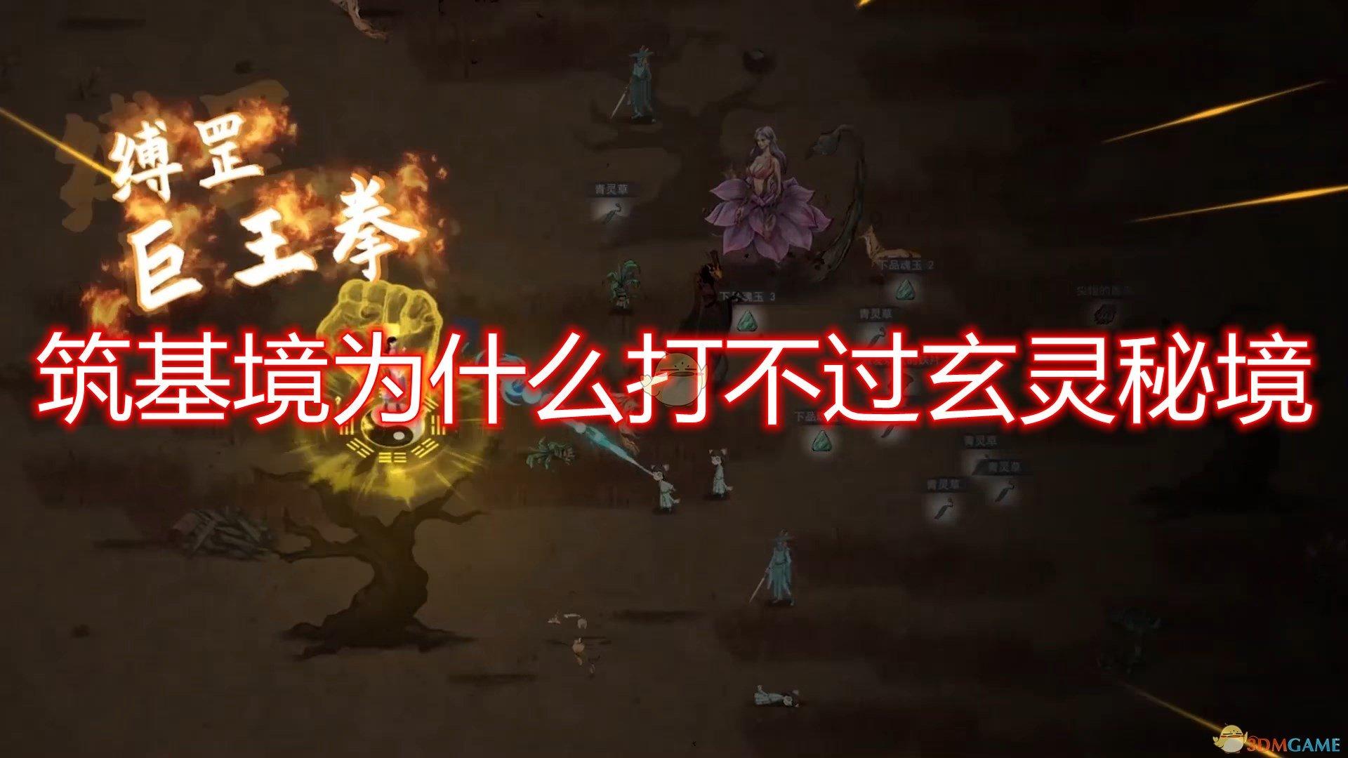 双球转动